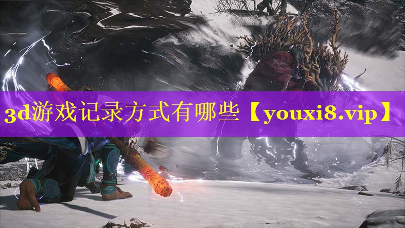 3d游戏记录方式有哪些