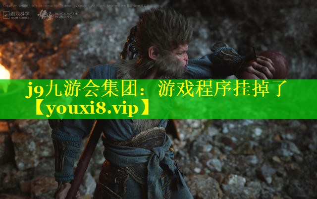 j9九游会集团：游戏程序挂掉了
