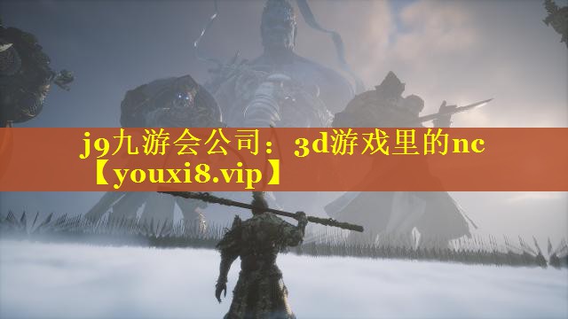 j9九游会公司：3d游戏里的nc