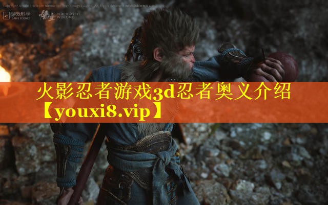 火影忍者游戏3d忍者奥义介绍 火影忍者游戏3d忍者奥义介绍
