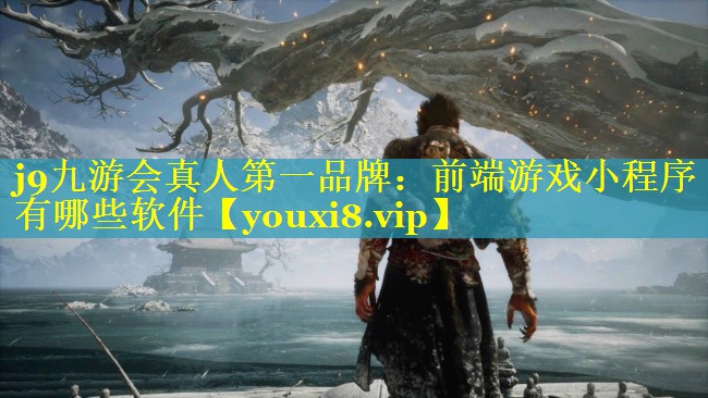 前端游戏小程序有哪些软件 前端游戏小程序有哪些软件