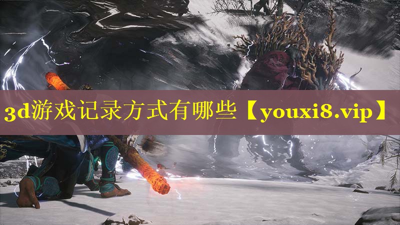 3d游戏记录方式有哪些 3d游戏记录方式有哪些
