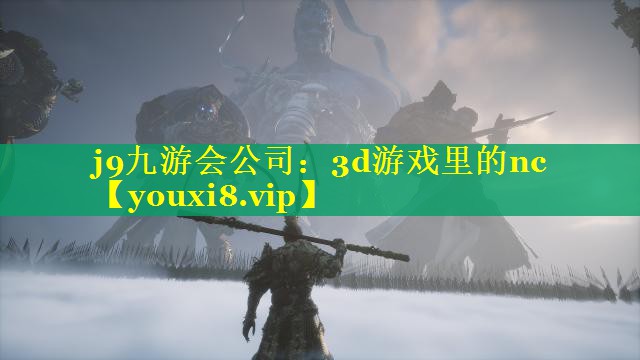 3d游戏里的nc 3d游戏里的nc