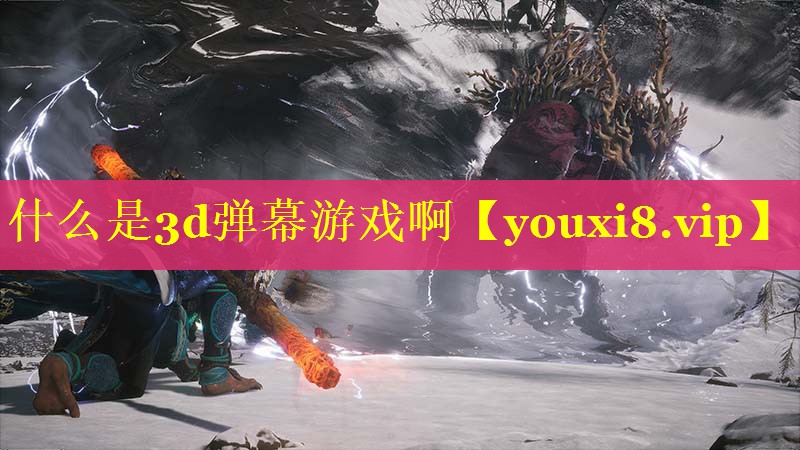 什么是3d弹幕游戏啊 什么是3d弹幕游戏啊