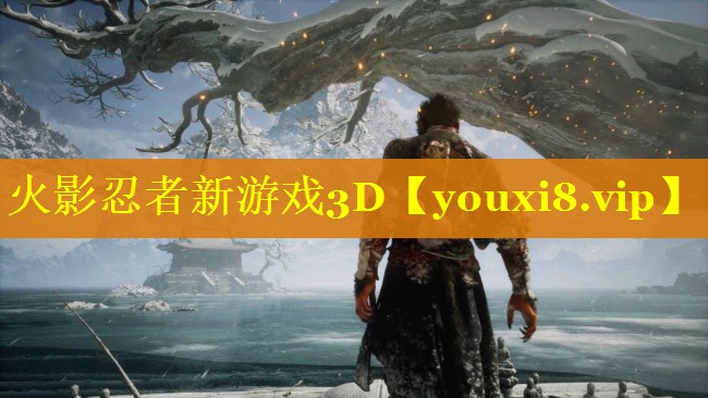 火影忍者新游戏3D