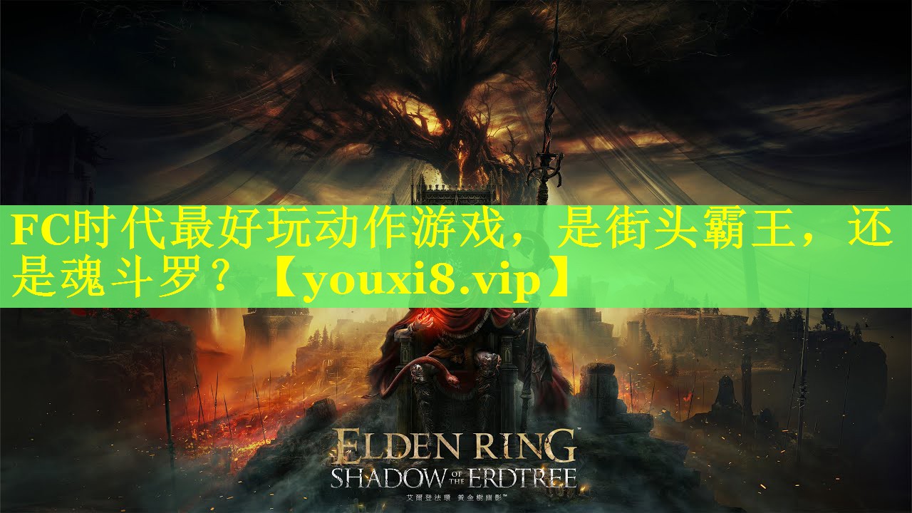 FC时代最好玩动作游戏，是街头霸王，还是魂斗罗？