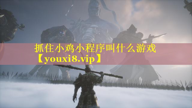 抓住小鸡小程序叫什么游戏