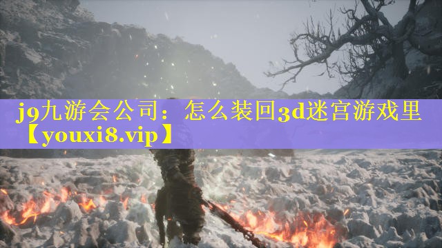 怎么装回3d迷宫游戏里 怎么装回3d迷宫游戏里