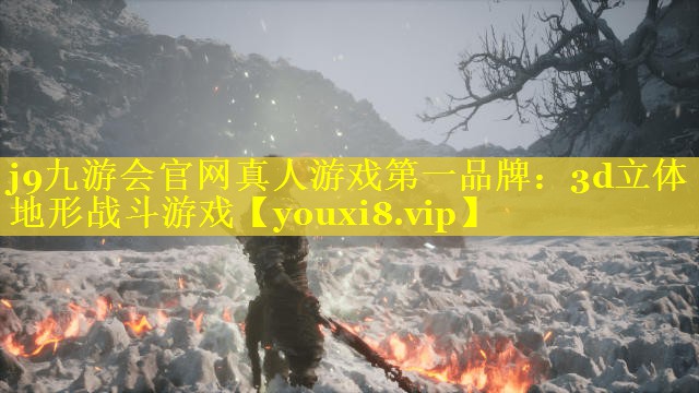 3d立体地形战斗游戏 3d立体地形战斗游戏