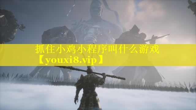 抓住小鸡小程序叫什么游戏 抓住小鸡小程序叫什么游戏